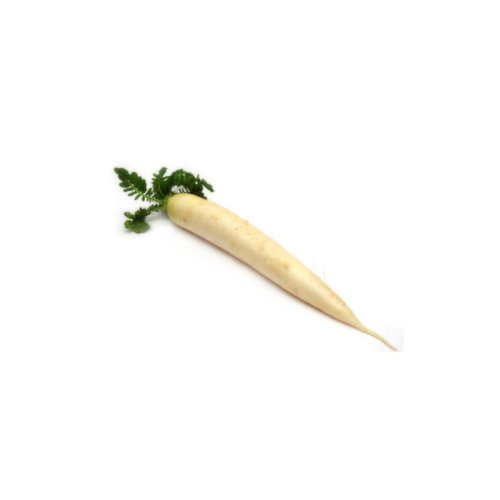 Organic Daikon